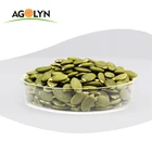 Hot sale pumpkin seed kernels from Mongolia Hulled White shell and green kernel