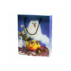 Fashion and lovely PP plastic bag biodegradable plastic bag handle shopping bag