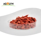 Organic Dried Goji Dried Organic Goji Berry Dried Goji