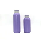 Customized Double Wall 500ML Thermos Vacuum Insulated Water Flask