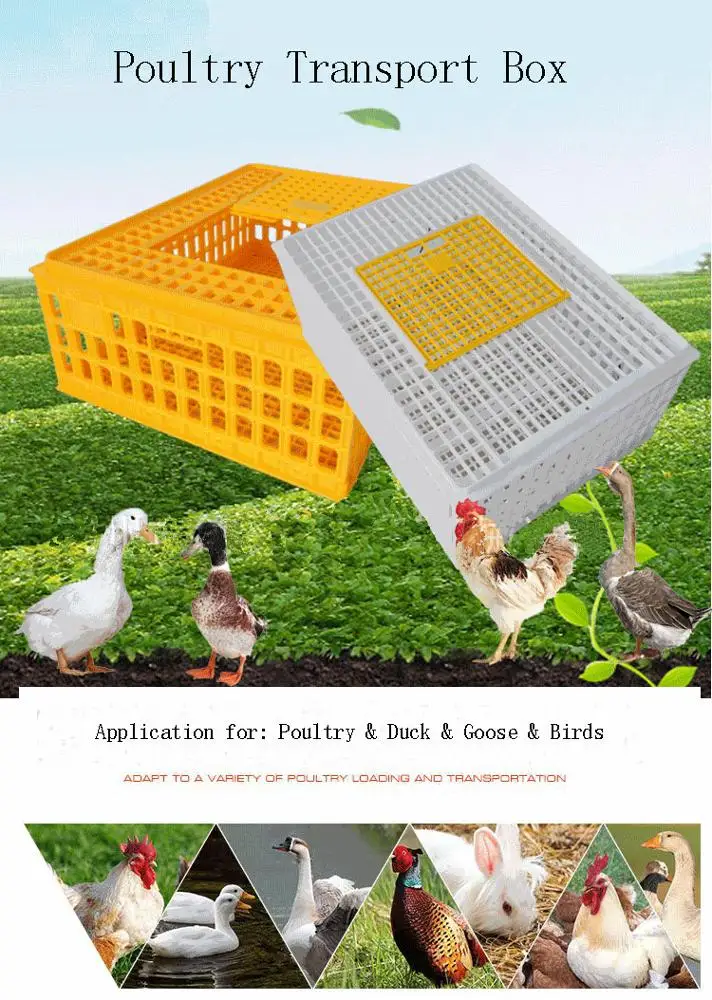 Duck Bird Poultry Transport Crates Plastic Chicken Cages Live Duck