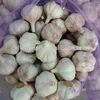 /product-detail/china-new-garlic-price-60664756336.html