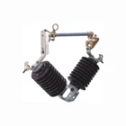 Polymer Arrester Surge Electrical Lightning Polymer Power Surge Arrester Price
