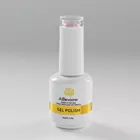 New Arrival Glitter UV Gel Nail Art Paints Polish China UV Gel Polish