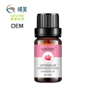 Professional Pure Organic Natural Moisturizing Geranium Essential Oil for Relaxation
