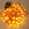 Hd Designs Outdoor Star Shape Fairy String Lights For Party Christmas Holiday Decoration