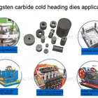 Tungsten carbide Fastener mould cold heading stamping dies