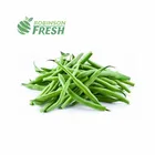 ロビンソン新鮮な 2020 米国ほとんど信頼できる野菜プロバイダ新緑豆価格ストリング素朴なサプライチェーンサービス部門