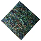 Green Abalone Shell Shellshell HCX033 Blue Green Abalone Green New Zealand Abalone Furniture Shell Paper