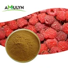 Herbal Extract Freeze Dried Freeze Dried Powder Bulk Organic Juice Powder Freeze Dried Raspberry Powder