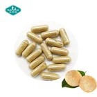 Private Label Supplements Lions Mane Mushroom Capsules for Brain Health