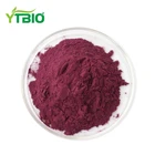 Water Soluble Freeze Dried Blueberry Ectract Powder
