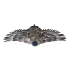 Wings Wing High Quality Costume Wings Natural Feather Eagle Wing