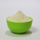 Pe Powder Powder High Quality 100% Nature Plant Extract Lily Bulb Extract Baihe PE Powder
