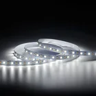 3000K 6000K Color tuning 2835 led strip cw ww