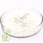Factory Supply Astragaloside IV 99% Astragalus Root Extract Astragaloside IV Powder