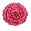china factory supply wholesale a grade soft touch natural eternal forever immortal preserved roses