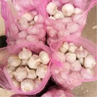 Garlic Garlic Normal White Garlic Price Common White Garlic China Normal White Garlic Price