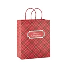 New beautiful delicate manufacturer Christmas gift paper packing bag with handle for kids