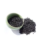 CO2 adsorption on granular activated carbon