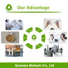 Quanao Factory supply 100% Pure Natural super root herbal Panax Ginseng Extract Ginsenoside 5%-80% best price