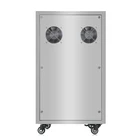 Pool Swimming Pool Ozone Generator Water Sterilizer Ozonizer