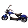 /product-detail/2019-new-eec-approval-electric-scooter-2000w-motor-citycoco-62128555299.html