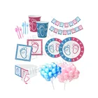 Wholesale Kids Theme Birthday Decorations Sets Gender Reveal Party Supplies For Girls And Boys