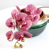 /product-detail/silk-flowers-artificial-flower-of-the-holy-spirit-orchid-3d-artificial-butterfly-orchid-flowers-62269282339.html