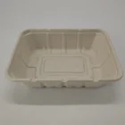 eco-dfriendly disposable dinnerware sets