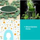Bulk Price of Spirulina Chewable Tablet Natural Organic Sex Spirulina Tablet