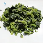 Frozen Iqf Spinach 2019 New Crop IQF Frozen Chopped Spinach 10*10mm
