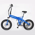 20 inch 250W 500W 750W Fat tires Beach bike Snow bike Aluminum alloy Frame 48V suspension Foldable E Bike