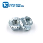 serrated DIN6923 carbon steel zinc plated hex flange nut