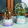 New Style Glass Cover Bonsai Ceramic Planter Decor Flower Pot