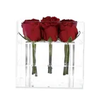 2019 Fashion New Design Valentine's Day Gift Box Wholesale Acrylic Flower Display Box