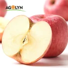 2019 new crop fresh fruits red Fuji apples