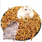 Xin jie biotechnology pet food factory bird food dried mealworm