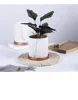 /product-detail/unique-garden-planter-plant-pot-small-wooden-flower-pot-60779776791.html