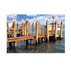 lenticular printing 3d picture beautiful scenery