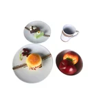 Dishwasher safe BPA free Eu standard 100% melamine dinnerware for picnic
