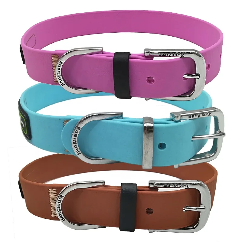 dog collar webbing wholesale