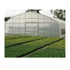 /product-detail/agricultural-plastic-single-span-film-greenhouse-60780769200.html