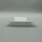 eco friendly PLA 100% biodegradable compostable Disposable pla foam tray for food 11.43*17.78*2.2