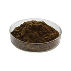 Ant Powder Powder Ant Powder High Quality Wholesale Pure Black Ant Powder