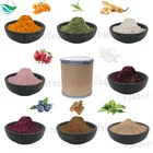 100% natural moringa oleifera powder organic moringa powder