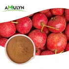 Hawthorn extract hawthorn berry maybush juice powder