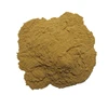 Supplying high quality 20:1 nettle root extract powder