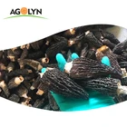 Mushrooms Dried Black Morel Mushroom