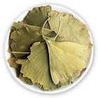 Organic Quality Dried Ginkgo Biloba Leaf